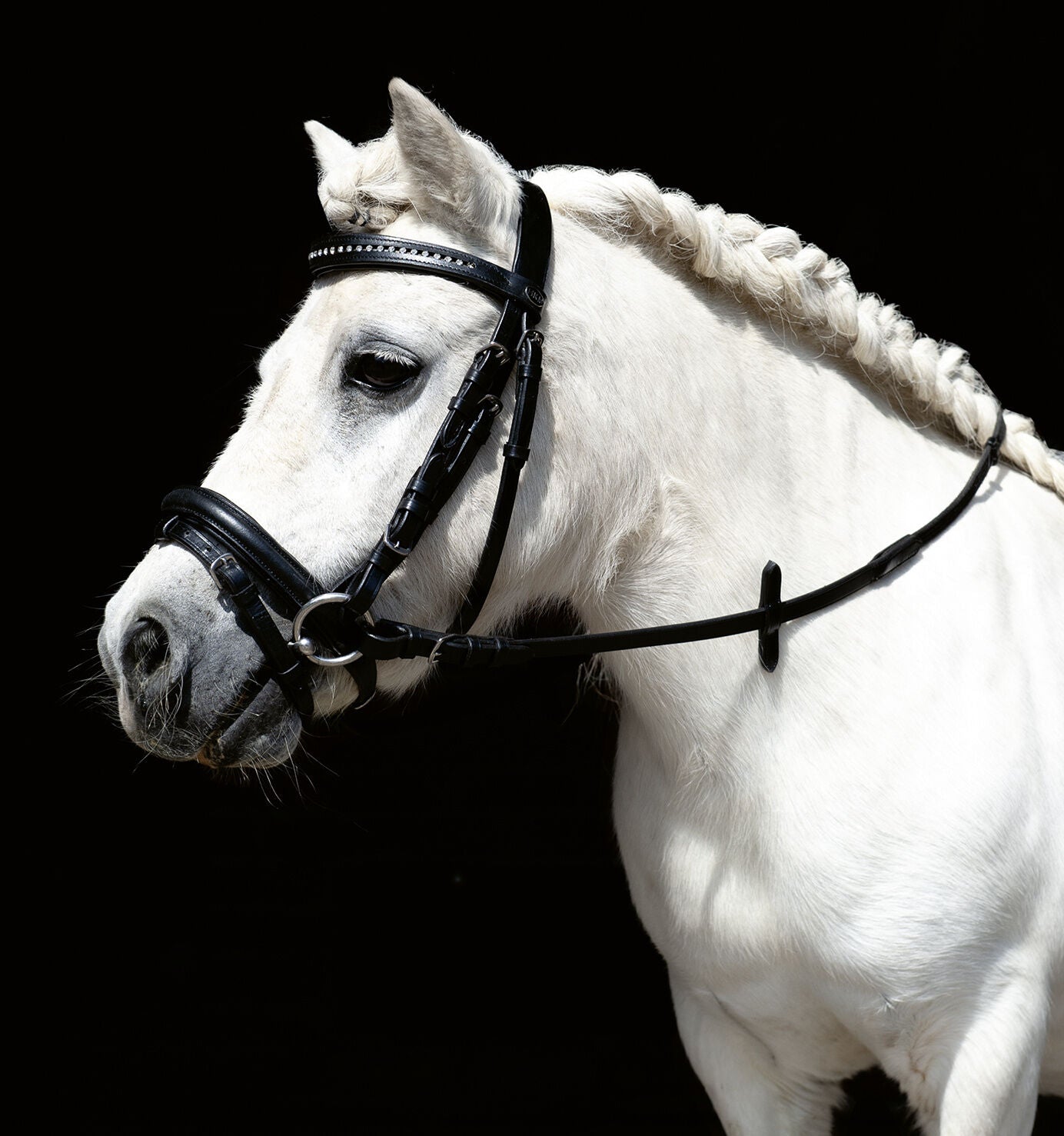 HKM Hoofdstel Mini Shetty