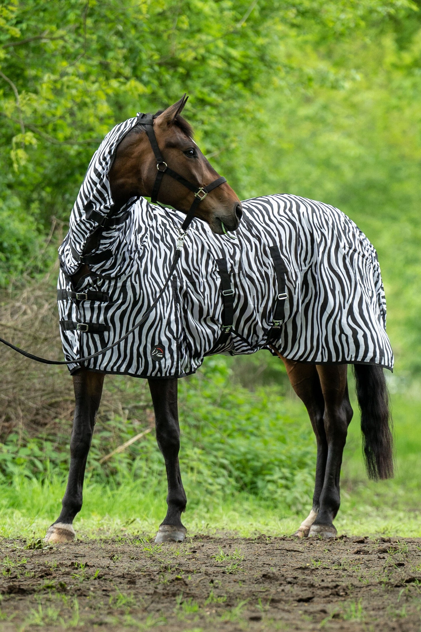 HKM Vliegendeken Zebra met hals