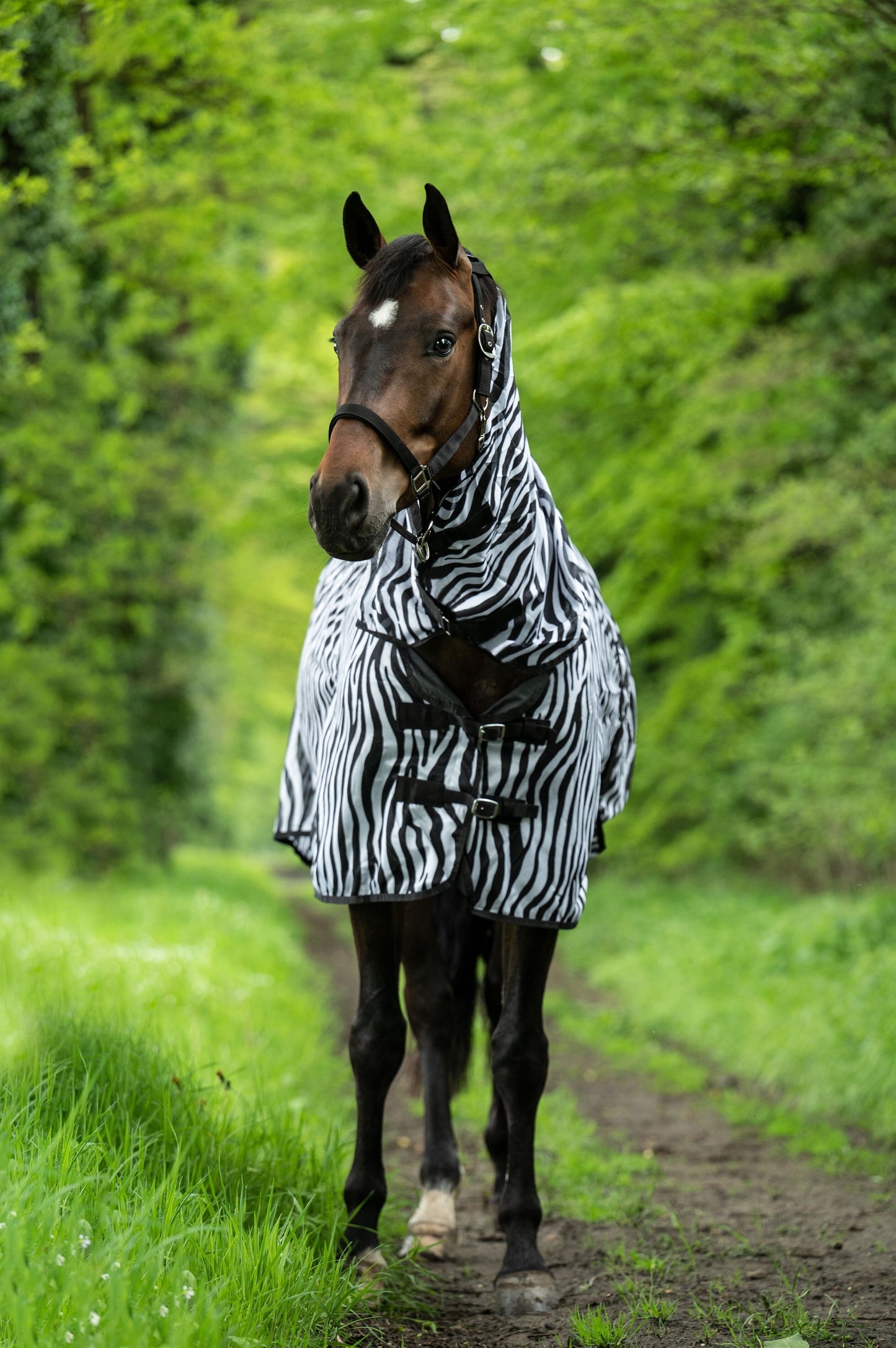 HKM Vliegendeken Zebra met hals