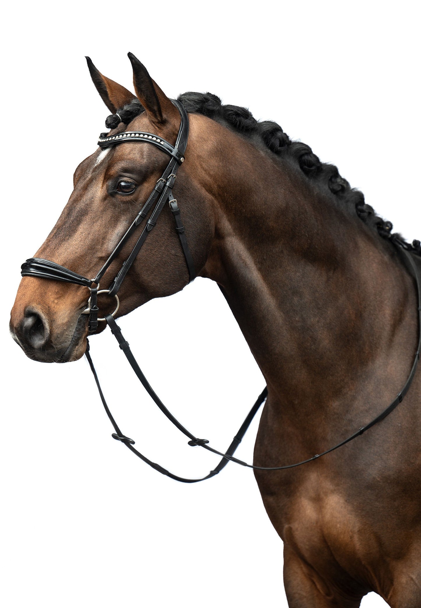 HKM Hoofdstel Carolin