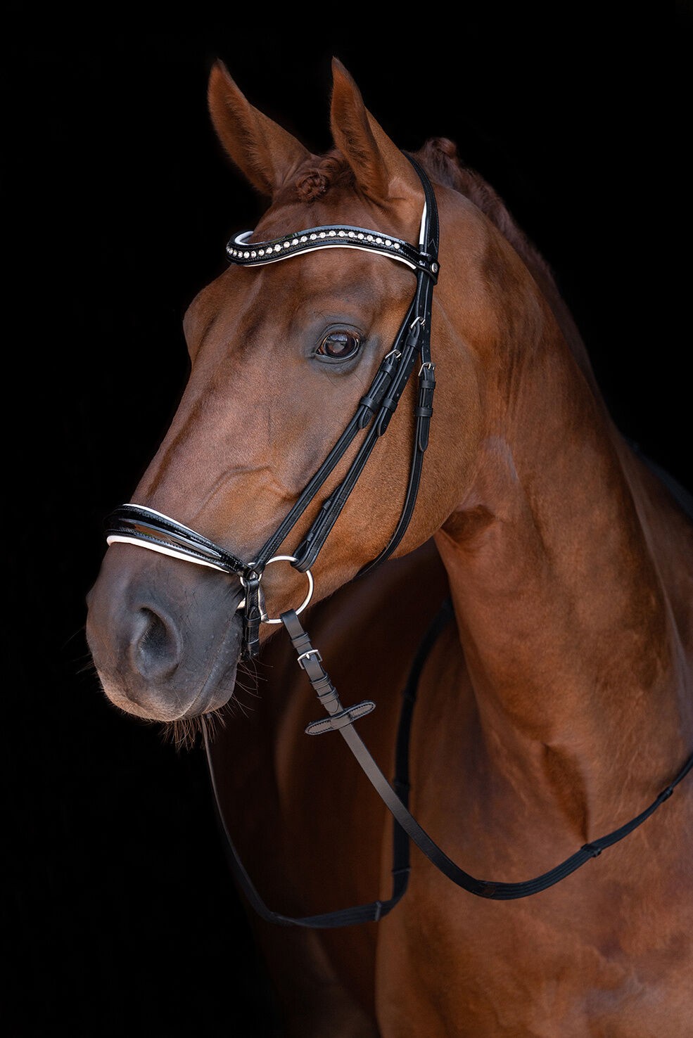 HKM Hoofdstel Carolin