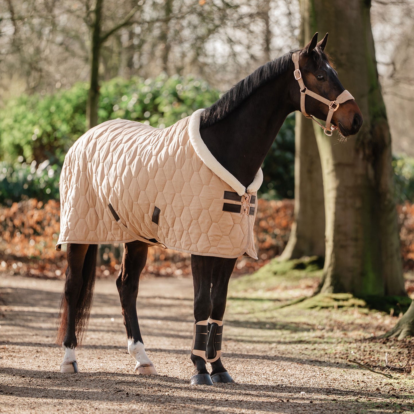1 Horka Showdeken Velvet Winter 2025/2026