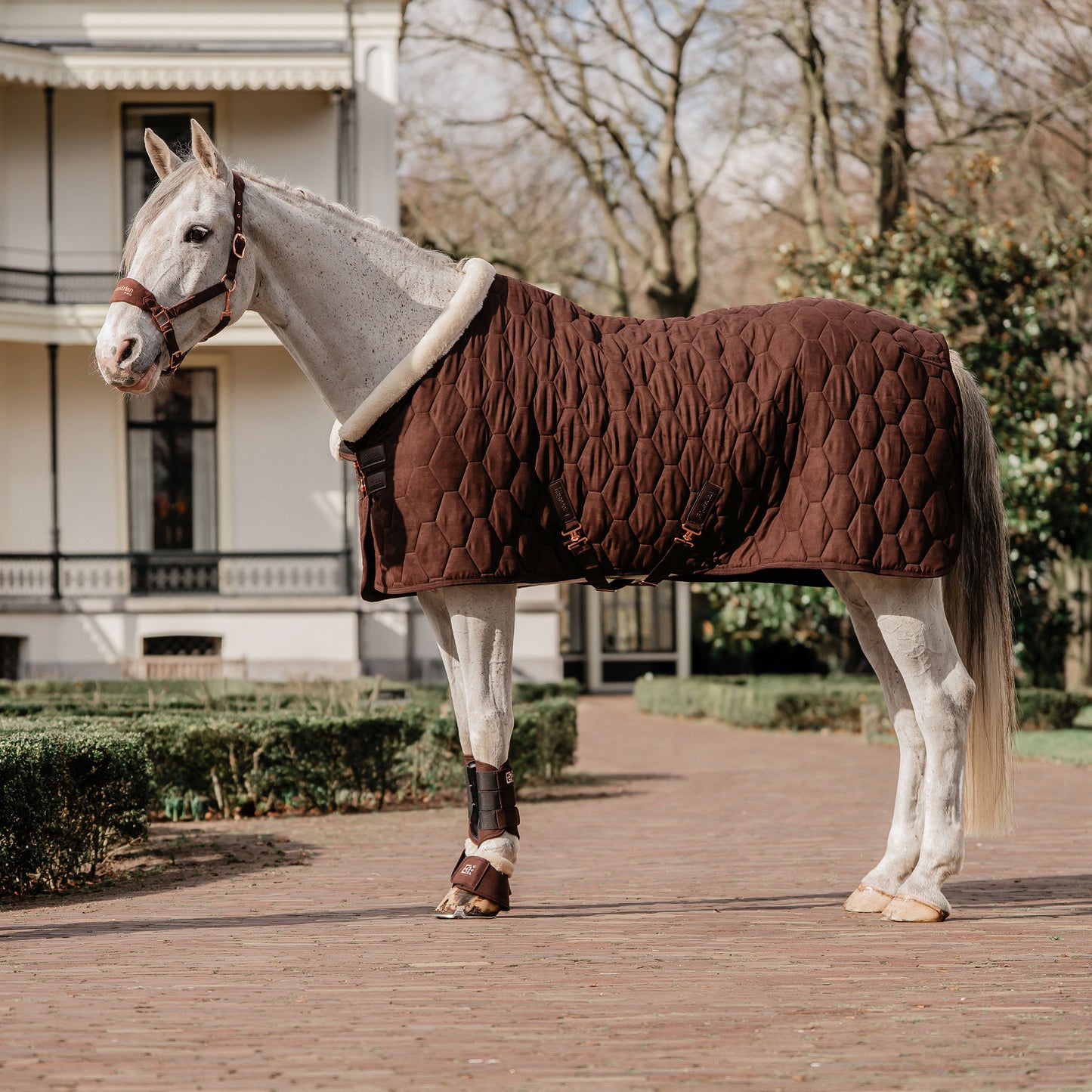 1 Horka Showdeken Velvet Winter 2025/2026