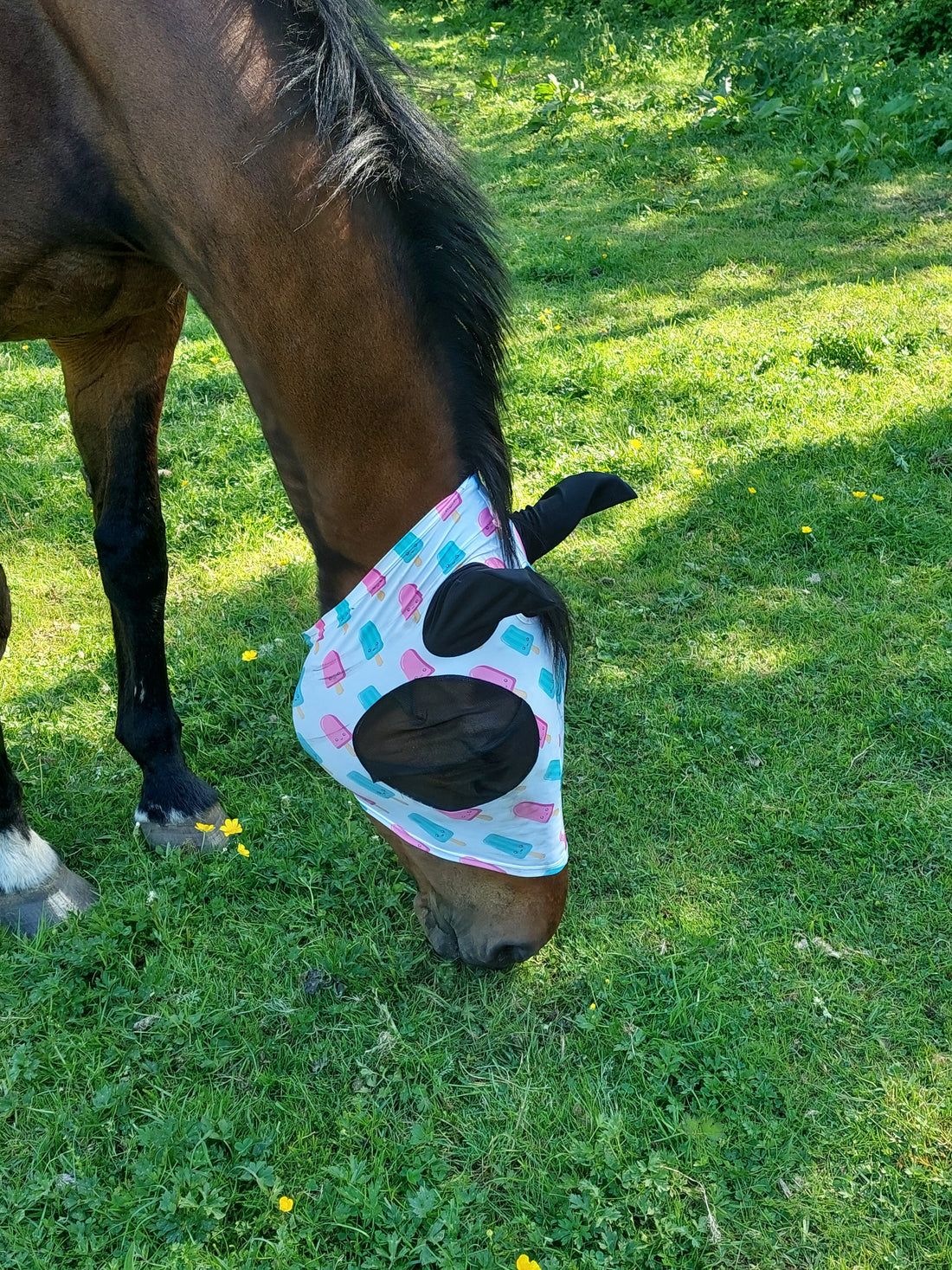 Paarden en vliegenmaskers ..