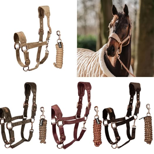 Horka Halsterset Velvet