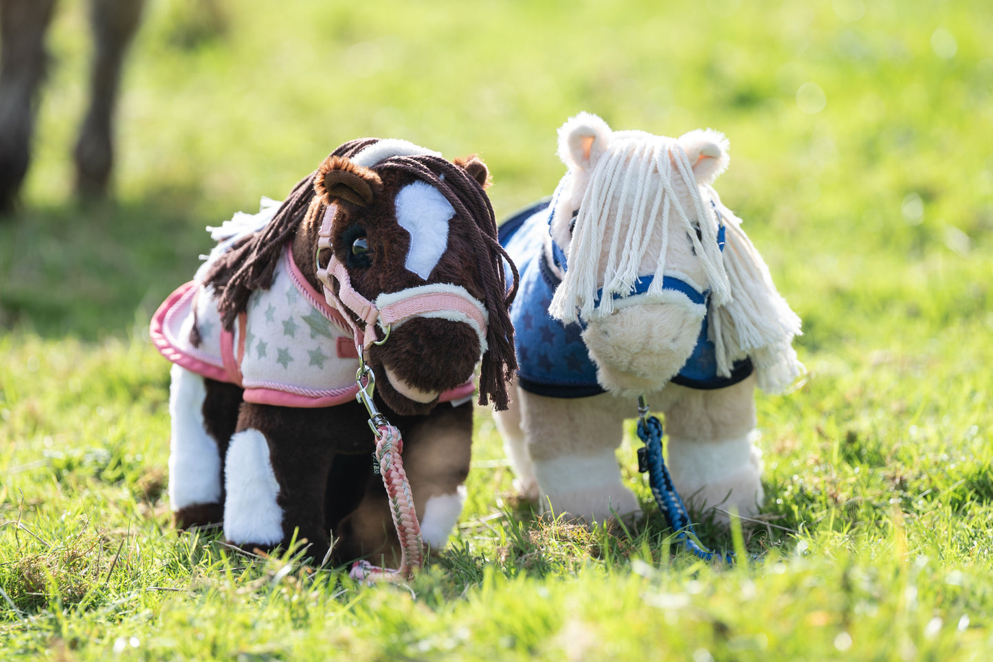 HKM Cuddle Pony set deken en halster