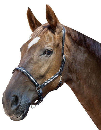 HKM lederen halster diamond