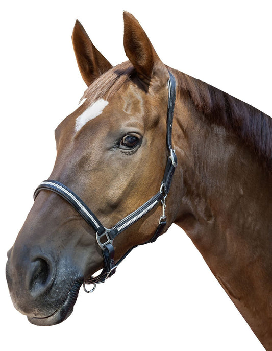 HKM lederen halster diamond