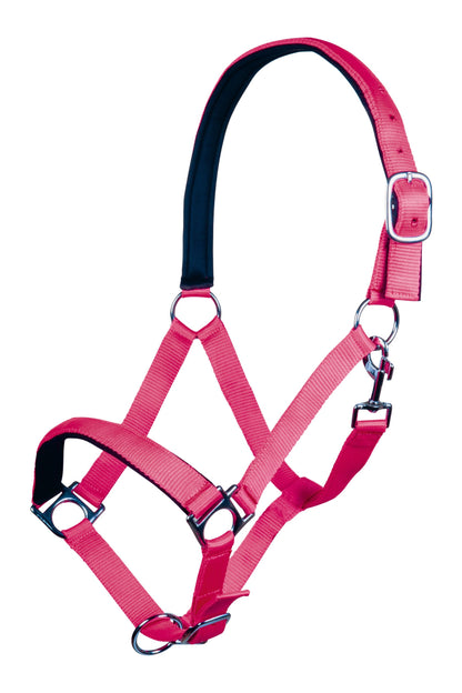 HKM Halster stars