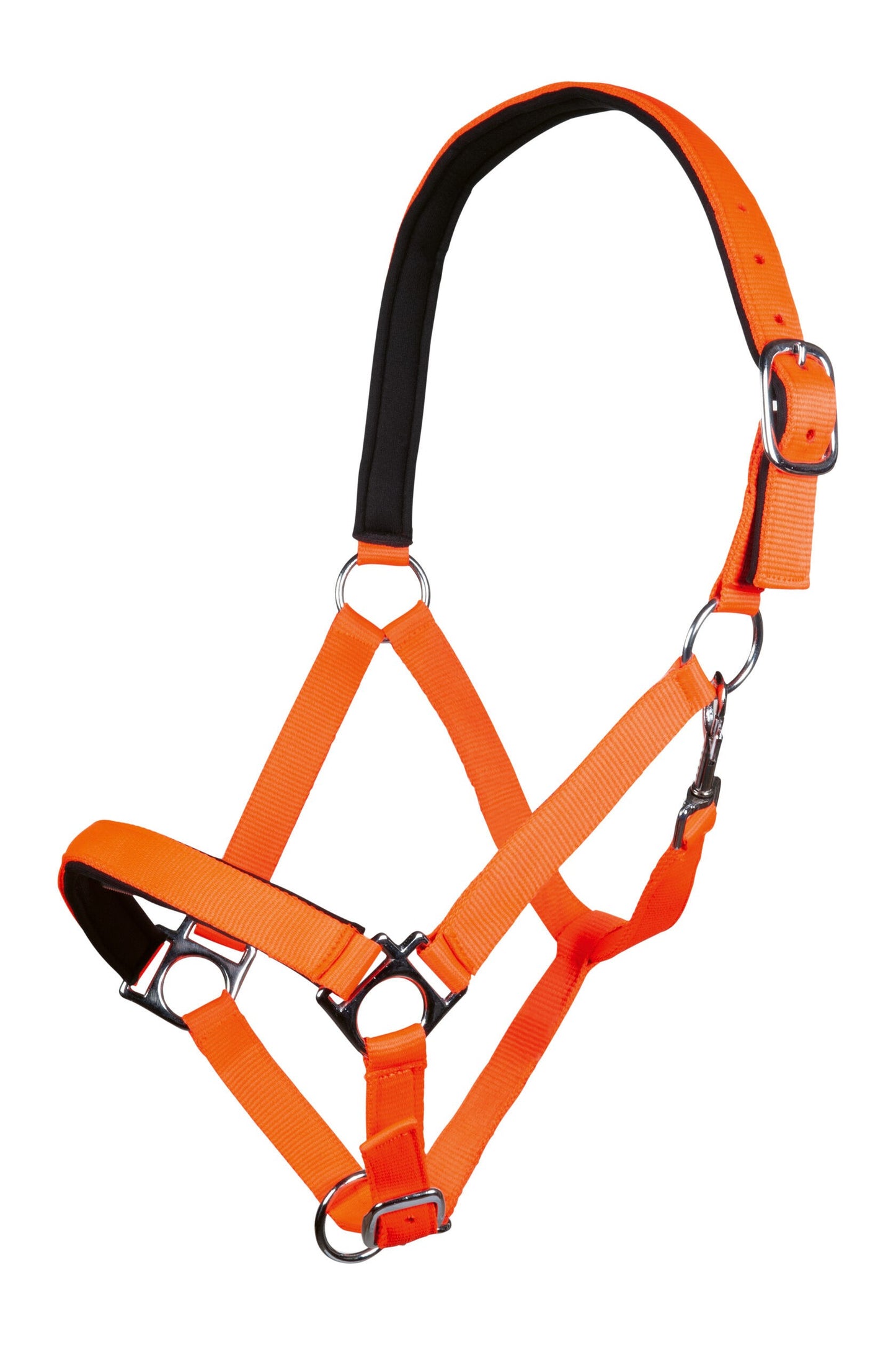 HKM Halster stars
