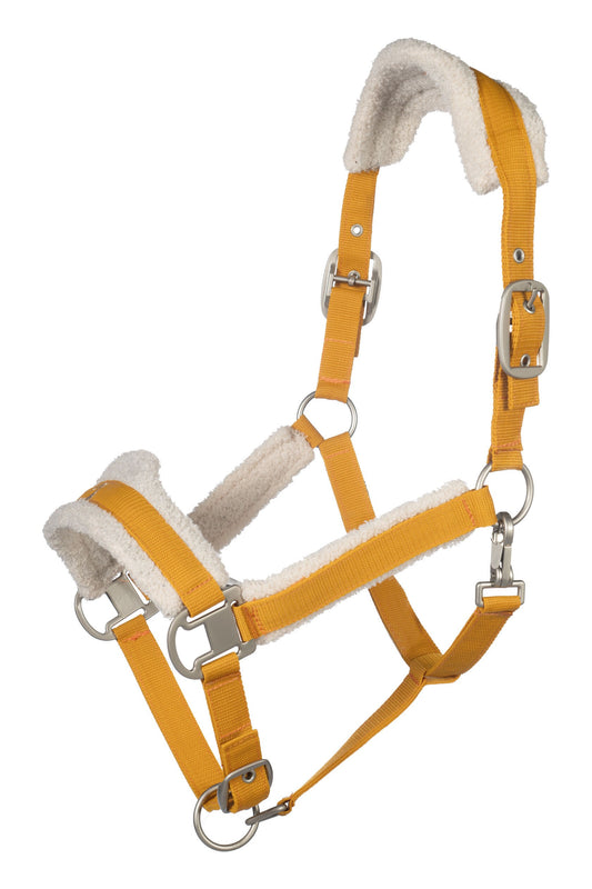 1 HKM Arezzo Lauria Garrelli Halster