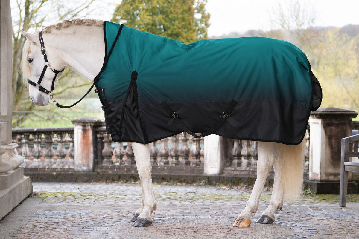 HKM Highnekdeken Lugano1200D